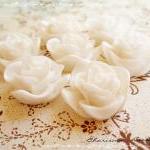 6 Resin Roses Cabochons Flower Accessory..